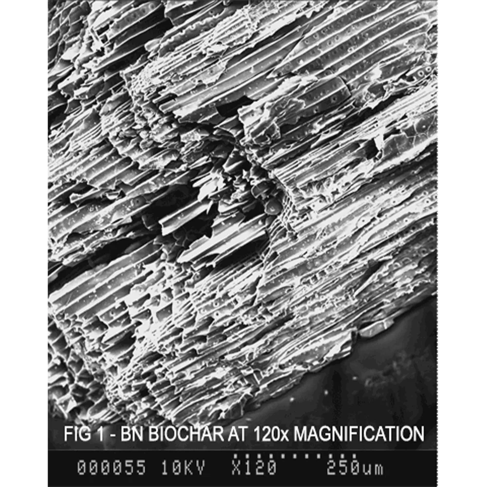 Scanning electron micrograph of biochar at 120x magnification, showing long open pores