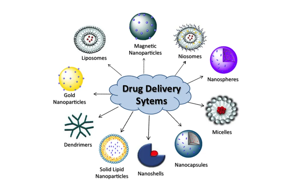 Diagram of drug delivery systems