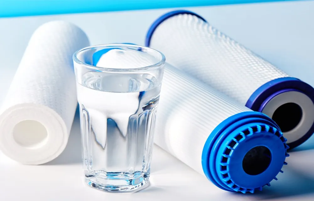 Water filter cartridges and a glass of water