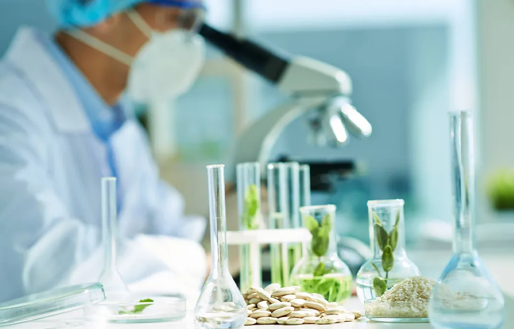 Laboratory glassware beside a microscope