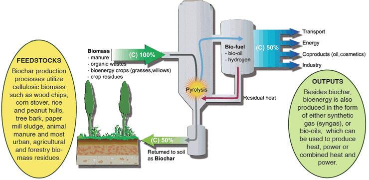 Diagram of pyrolysis: biomass feedstocks are heated to produce bio-oil, syngas and biochar