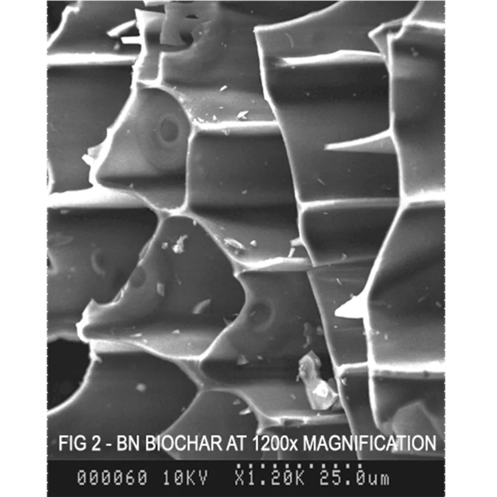 Scanning electron micrograph of biochar at 1200x magnification, showing a honeycomb of pores
