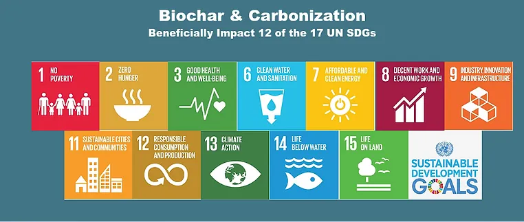 Biochar and carbonization beneficially impact 12 of the 17 UN Sustainable Development Goals