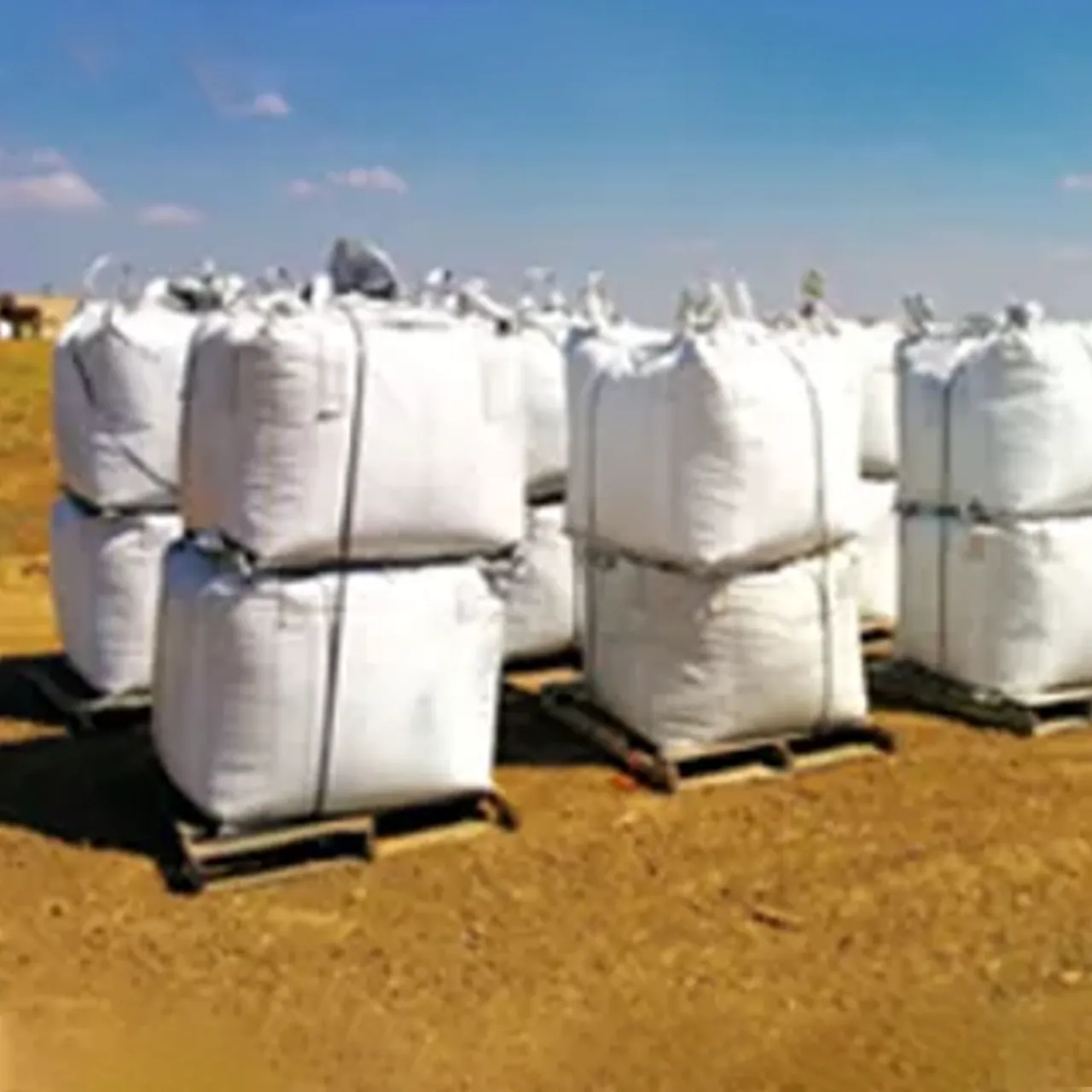 Cubic yard super sacks on pallets