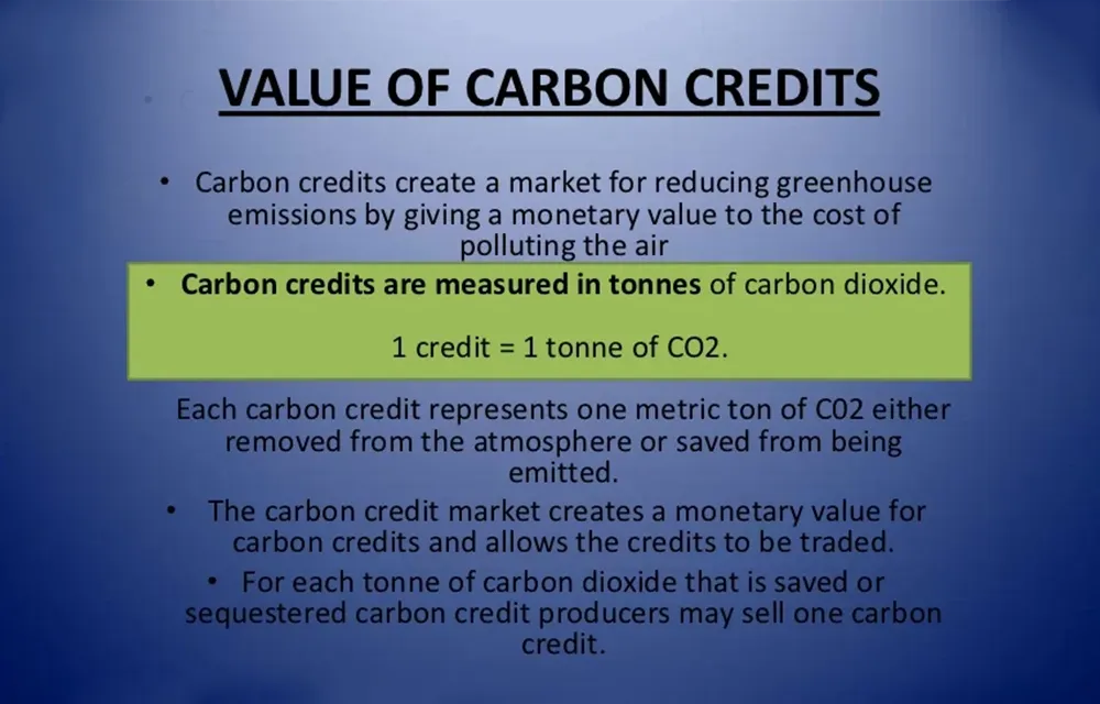 Slide on the value of carbon credits: one credit equals one tonne of CO2