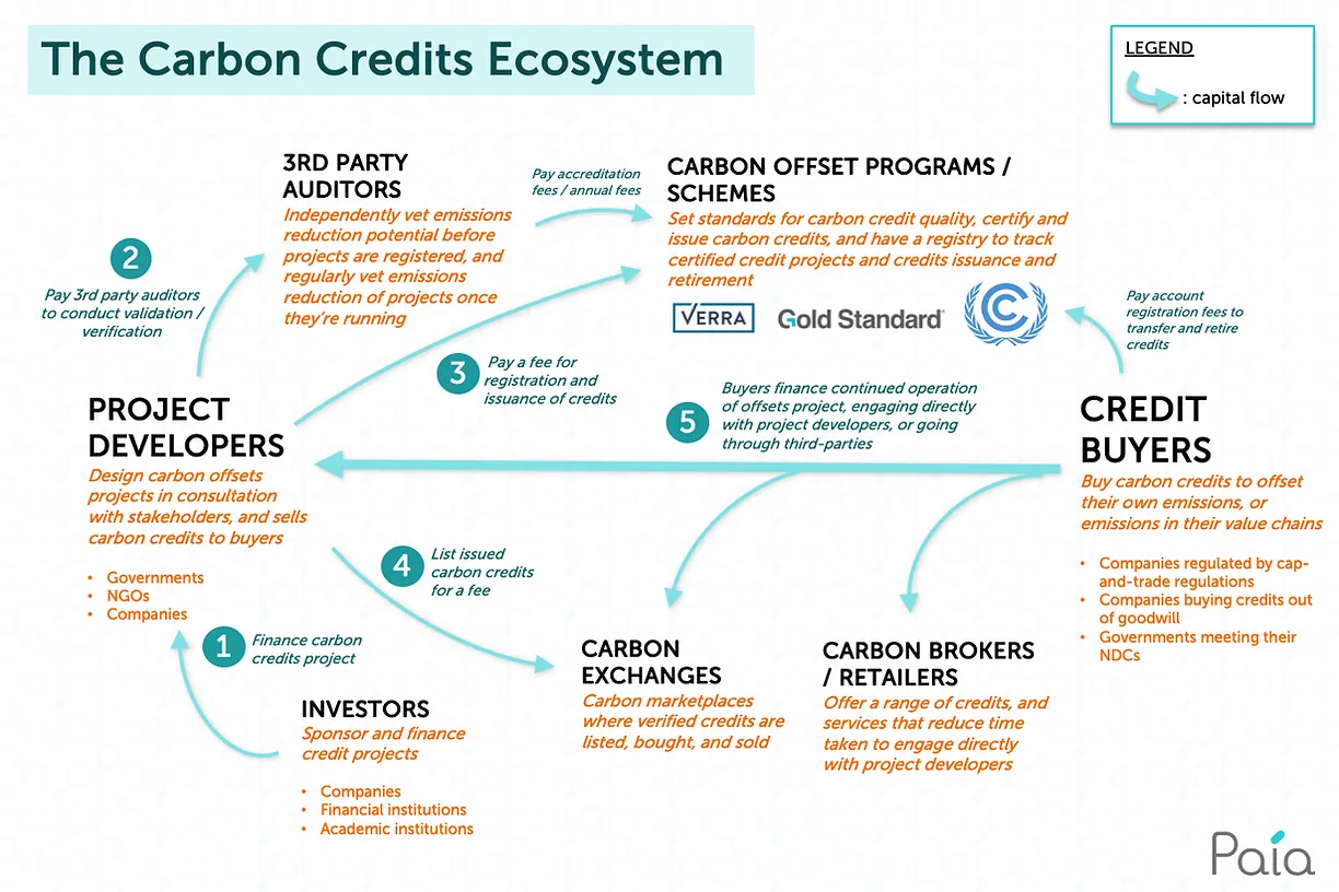 Diagram of the carbon credits ecosystem: project developers, auditors, offset programs, exchanges, brokers and buyers