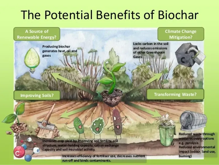 Illustration of the potential benefits of biochar: renewable energy, climate change mitigation, improving soils and transforming waste