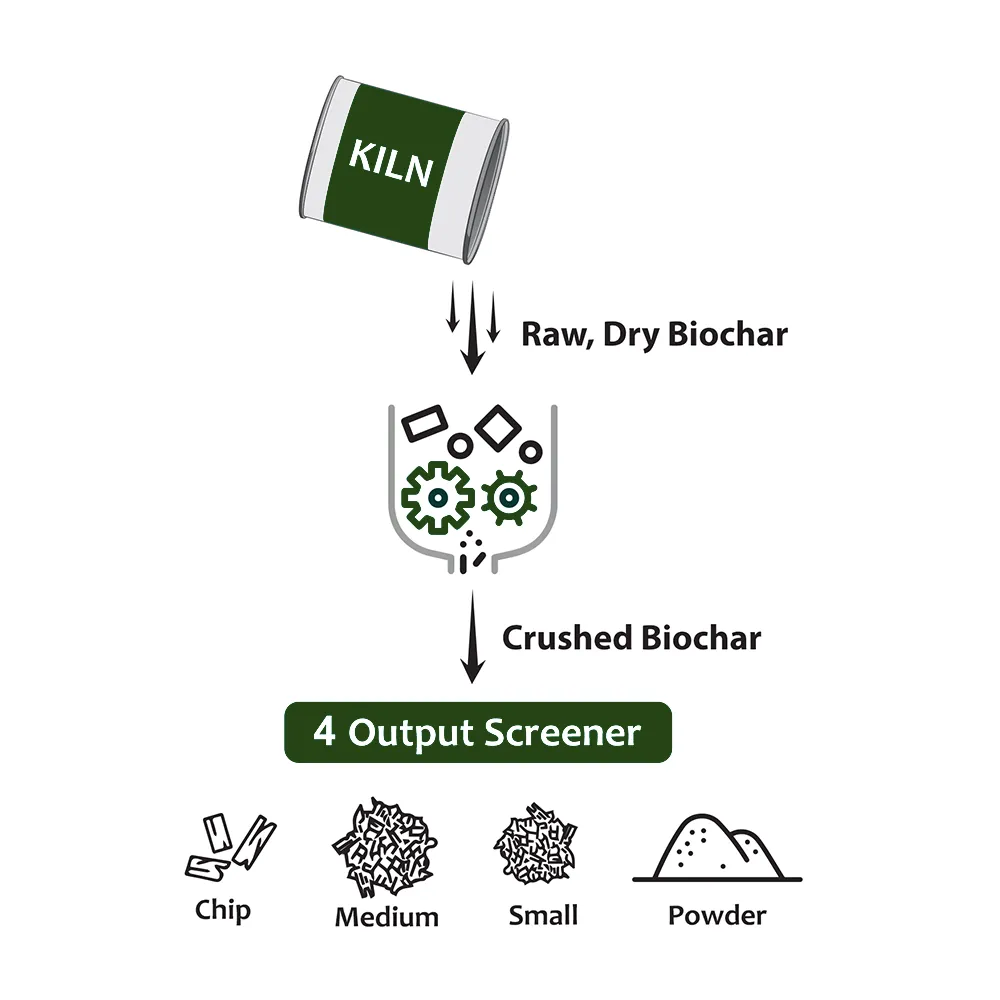 Processing flow: raw dry biochar from the kiln is crushed, then screened into chip, medium, small and powder